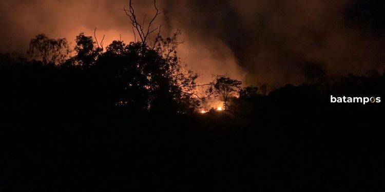 Kebun di Lingga Terbakar, Warga Berjuang Memadamkan Api